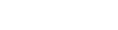 logo sizinaptek white